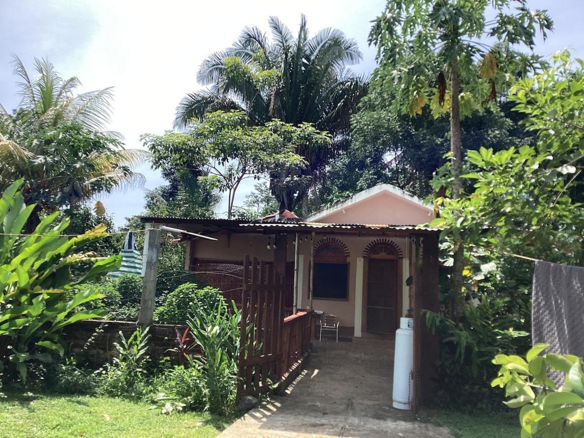 Exotic Flower Cabin2 Pool Agua Bendita Eksteriør bilde
